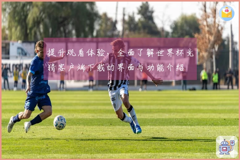 提升观看体验，全面了解世界杯竞猜客户端下载的界面与功能介绍