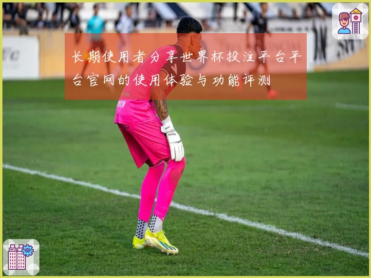长期使用者分享世界杯投注平台平台官网的使用体验与功能评测