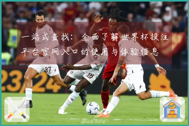 一站式查找：全面了解世界杯投注平台官网入口的使用与体验信息