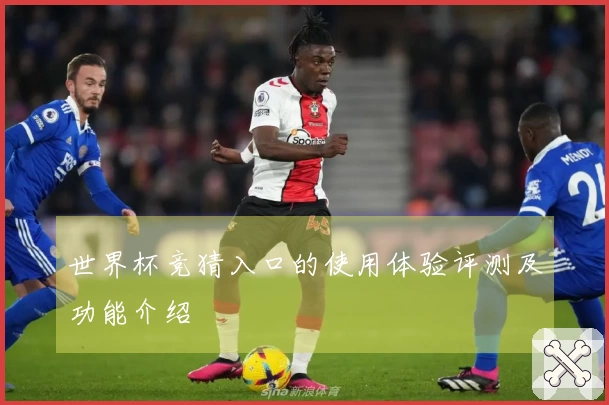 世界杯竞猜入口的使用体验评测及功能介绍