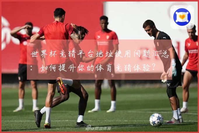 世界杯竞猜平台地址使用问题汇总：如何提升你的体育竞猜体验？