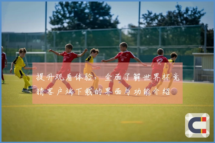 提升观看体验，全面了解世界杯竞猜客户端下载的界面与功能介绍