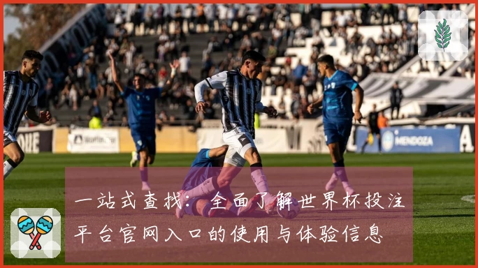一站式查找：全面了解世界杯投注平台官网入口的使用与体验信息