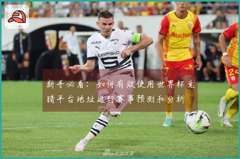 新手必看：如何有效使用世界杯竞猜平台地址进行赛事预测和分析