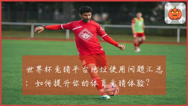 世界杯竞猜平台地址使用问题汇总：如何提升你的体育竞猜体验？